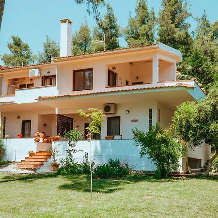 Forest House Near The Sea Daire Sani  Dış mekan fotoğraf