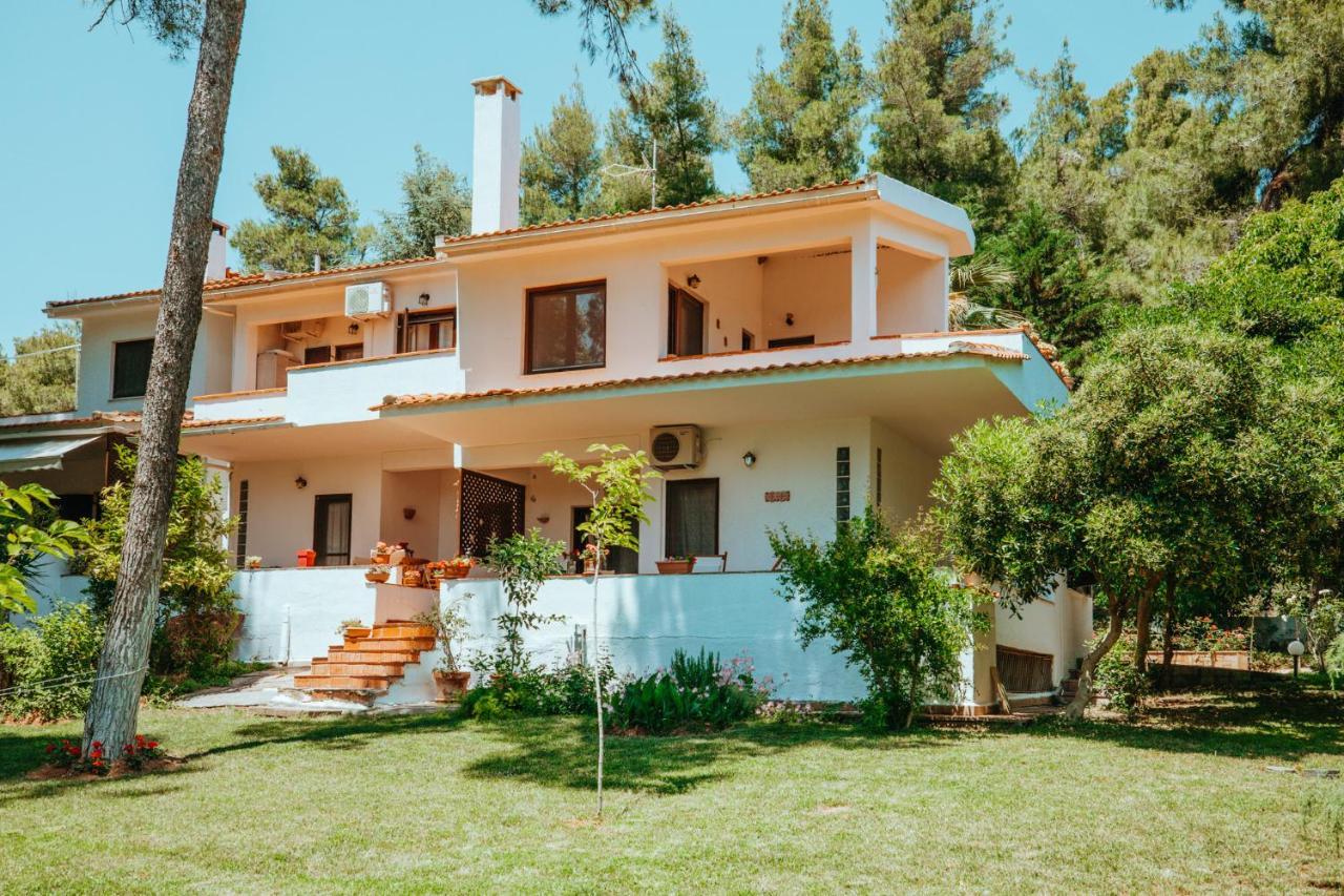 Forest House Near The Sea Daire Sani  Dış mekan fotoğraf