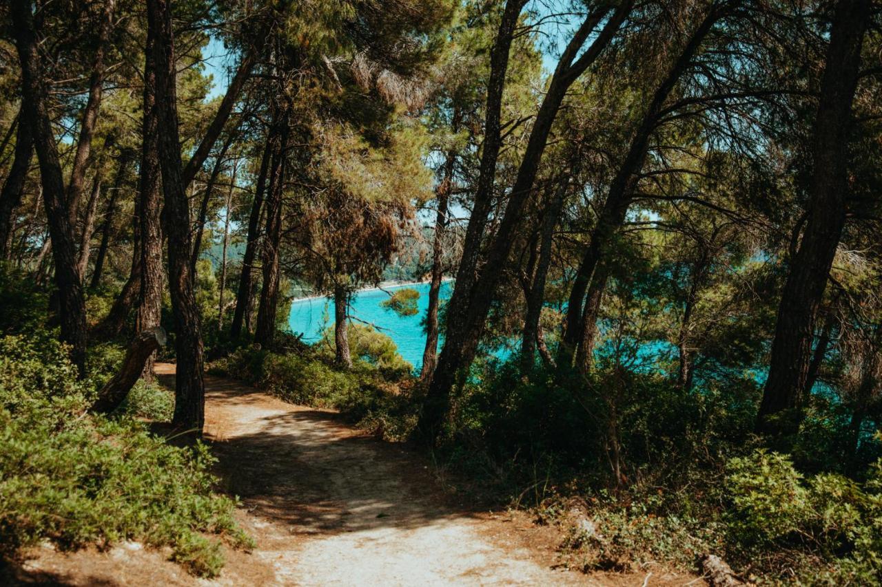 Forest House Near The Sea Daire Sani  Dış mekan fotoğraf