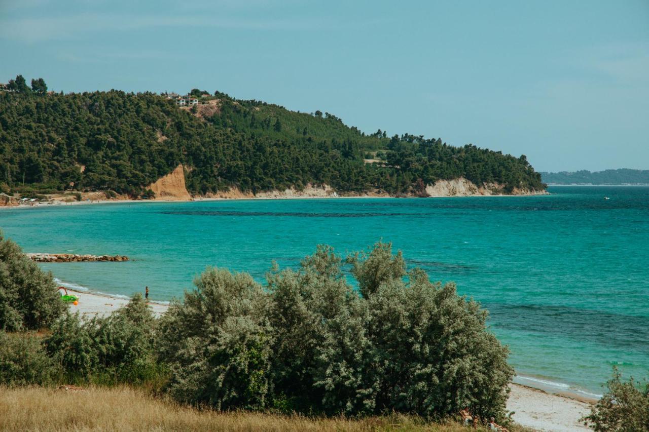 Forest House Near The Sea Daire Sani  Dış mekan fotoğraf