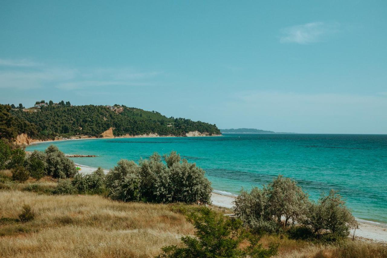 Forest House Near The Sea Daire Sani  Dış mekan fotoğraf