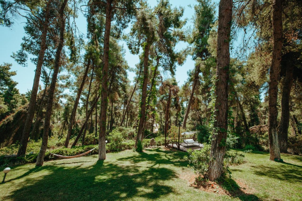 Forest House Near The Sea Daire Sani  Dış mekan fotoğraf